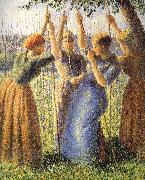 Camille Pissarro Planting scenes oil